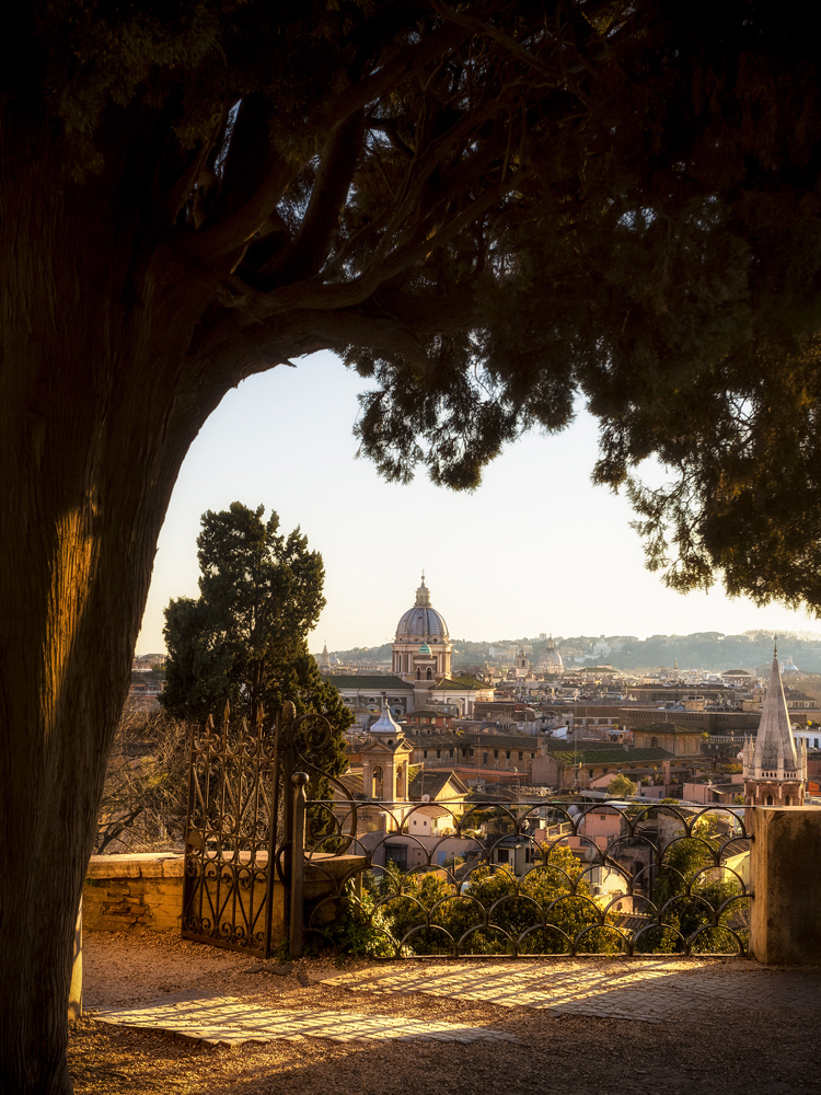 Rome framed by trees at dusk.