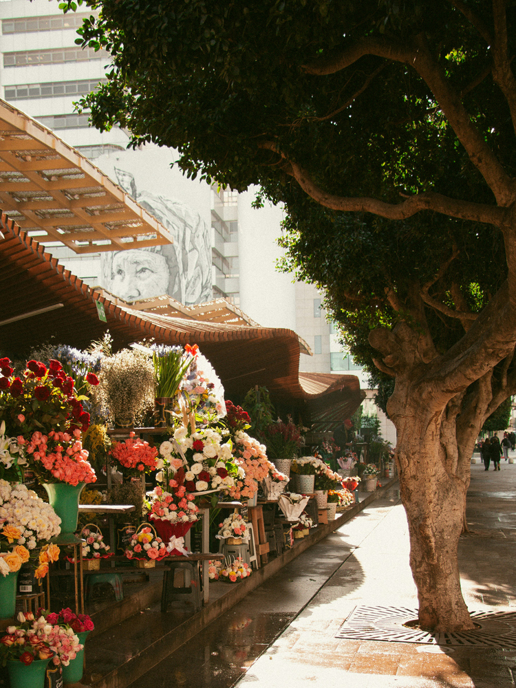 A colourful flower stall in Rabat.